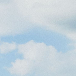 老鸭窝性爱视频
